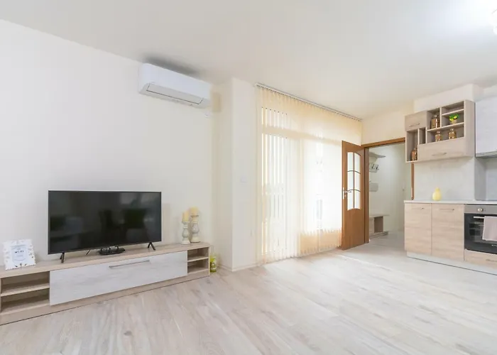 Domus Grand With Parking Plovdiv